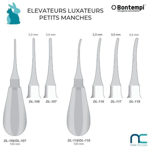 Élévateur luxateur manche court vétérinaire | Chats et petits animaux