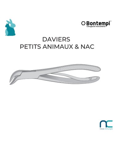 davier petits animaux et NAC - dentisterie vétérinaire