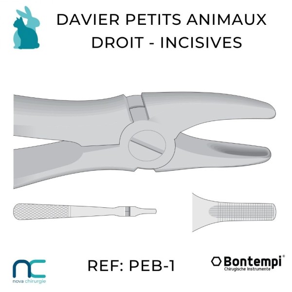 davier droits petits animaux et NAC