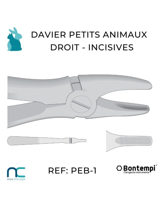 davier droits petits animaux et NAC