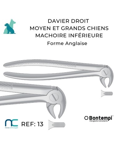 DAVIER DROIT INF - GRAND CHIEN - DENTISTERIE VET