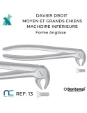DAVIER DROIT INF - GRAND CHIEN - DENTISTERIE VET