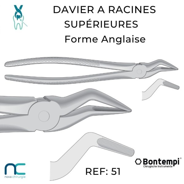 Davier pour fragments et racines résiduelles vétérinaire