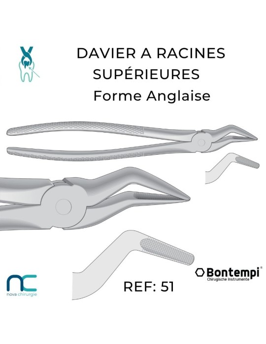 Davier pour fragments et racines résiduelles vétérinaire