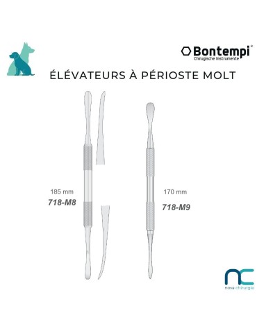 élévateur périoste molt dentisterie vet