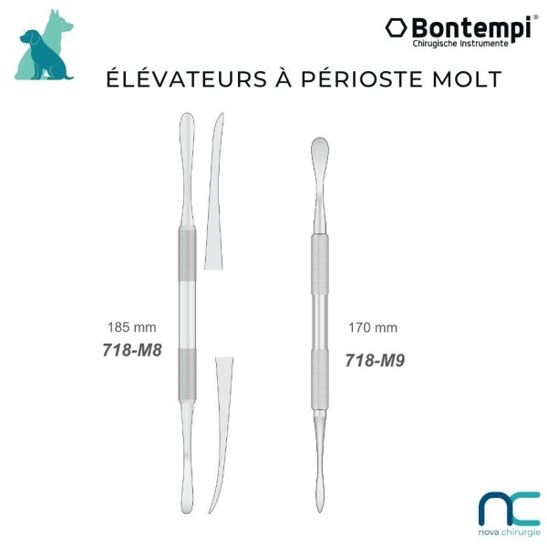 élévateur périoste molt dentisterie vet